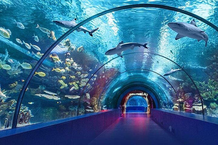 Istanbul Aquarium